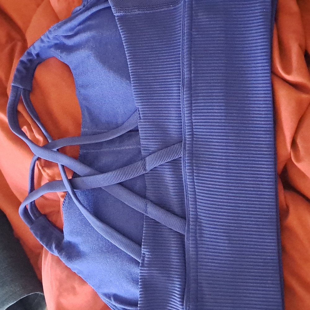 lululemon athletica Deep Blue Ribbed Sports Bra - Picture 3 of 3